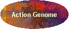 Action Genome