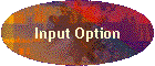 Input Option