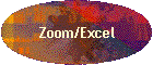 Zoom/Excel